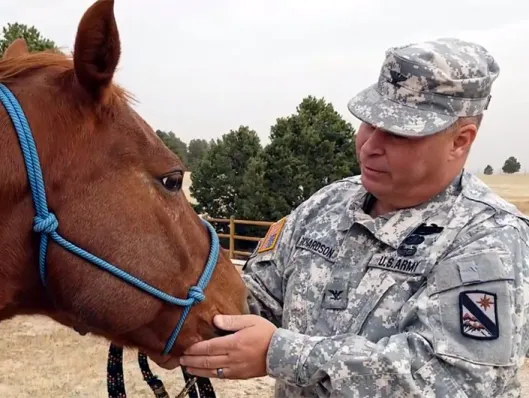 Healing-Horses-1